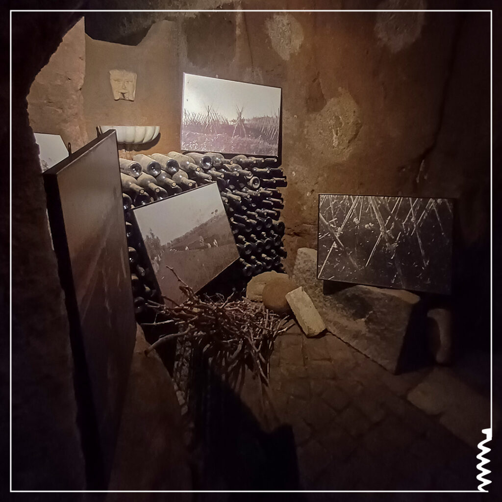 fontana candida - gruppo italiano vini