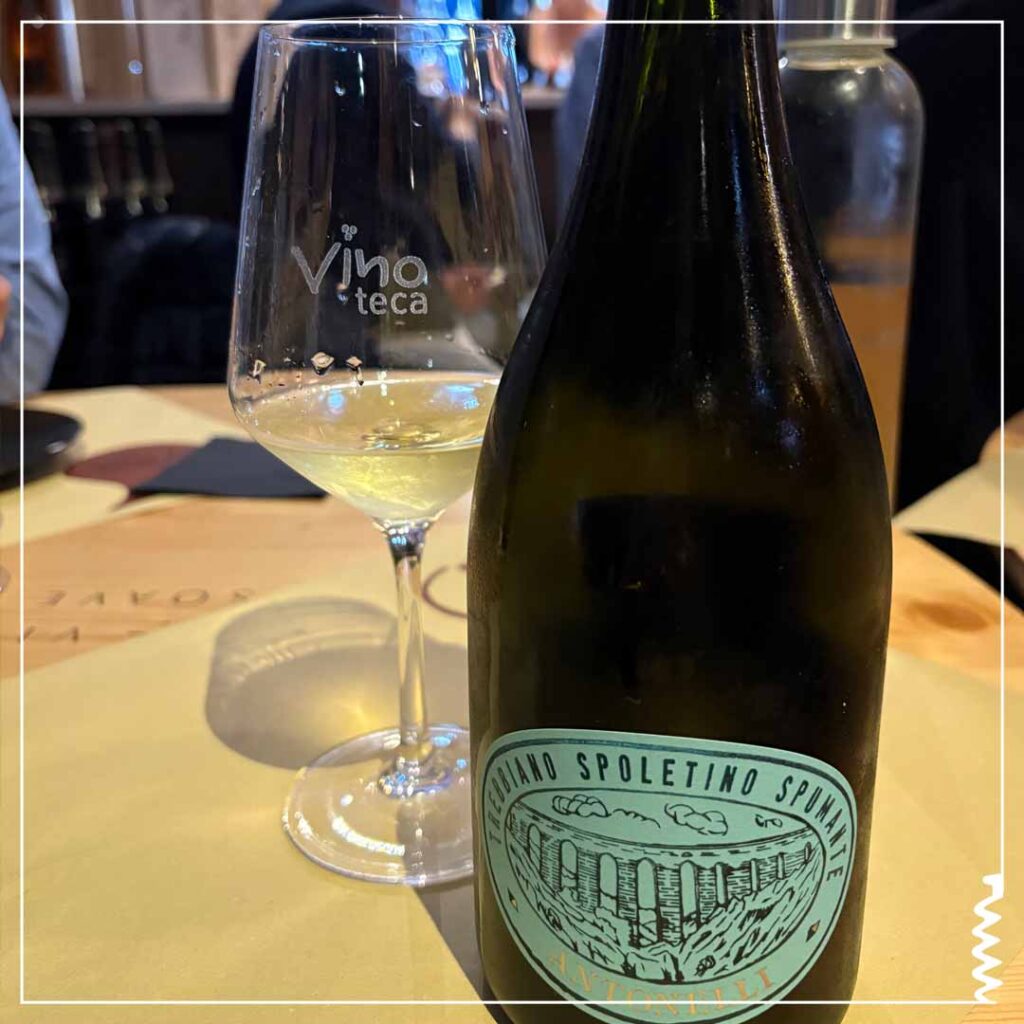 degustazione vini Cantina Antonelli